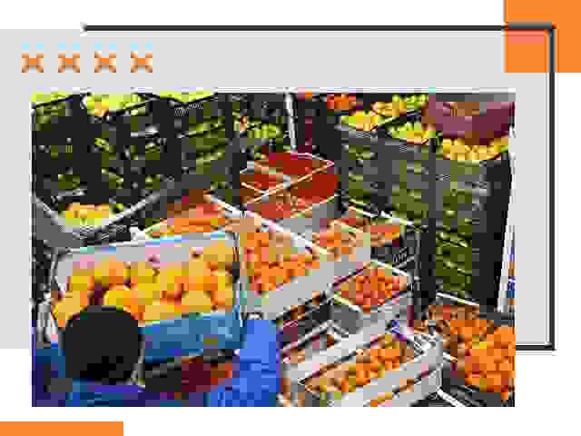 Перевозка скоропортящихся продуктов в Кондопоге
